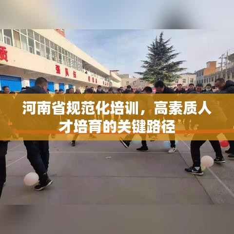 河南省规范化培训，高素质人才培育的关键路径