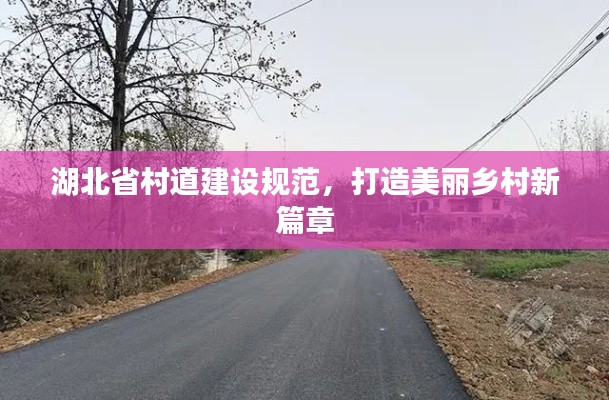 湖北省村道建设规范，打造美丽乡村新篇章