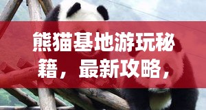 熊猫基地游玩秘籍，最新攻略，带你轻松畅游！