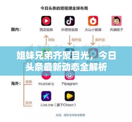 姐妹兄弟齐聚目光，今日头条最新动态全解析