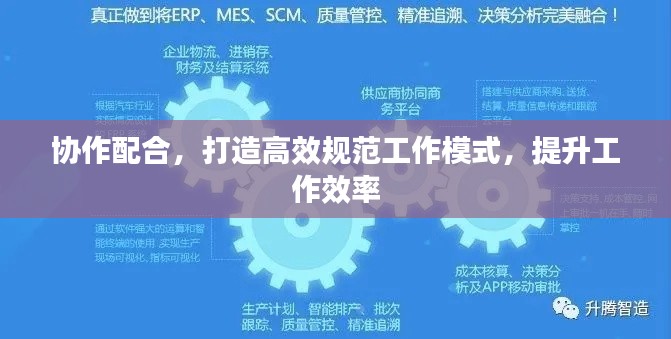 协作配合，打造高效规范工作模式，提升工作效率