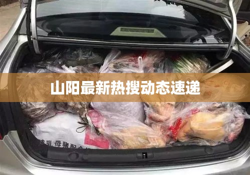 举世无双