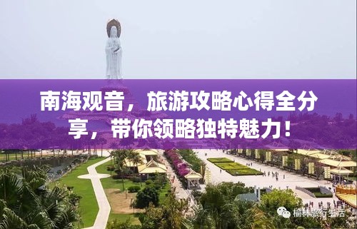 展翅高飞