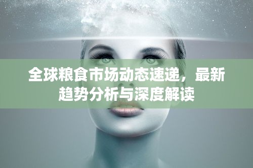 全球粮食市场动态速递，最新趋势分析与深度解读