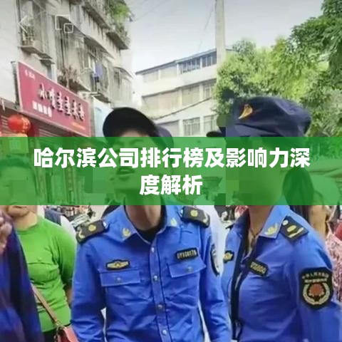 哈尔滨公司排行榜及影响力深度解析