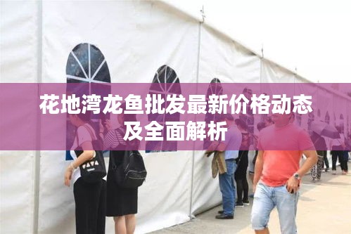 花地湾龙鱼批发最新价格动态及全面解析