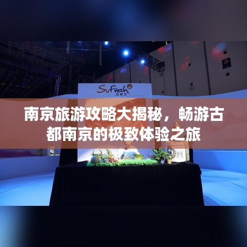 南京旅游攻略大揭秘，畅游古都南京的极致体验之旅
