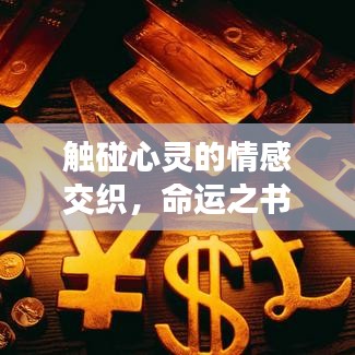 触碰心灵的情感交织，命运之书与百度云资源独家分享