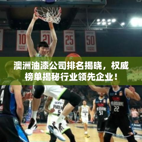 澳洲油漆公司排名揭晓，权威榜单揭秘行业领先企业！
