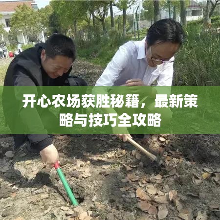 开心农场获胜秘籍，最新策略与技巧全攻略