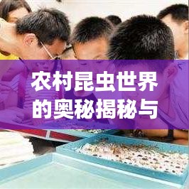农村昆虫世界的奥秘揭秘与排名榜单