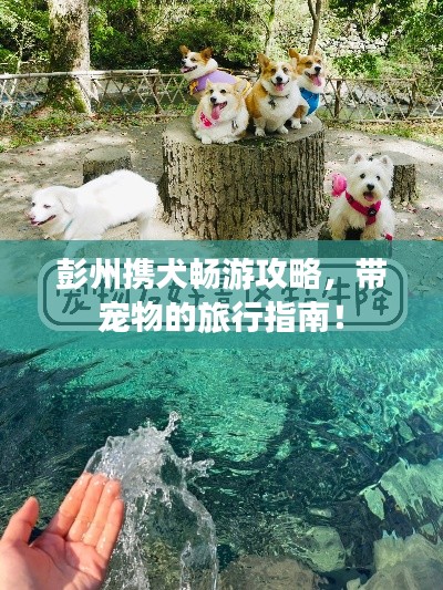 仪态万方