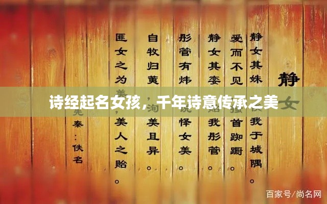 诗经起名女孩，千年诗意传承之美