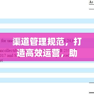 公司介绍 第9页