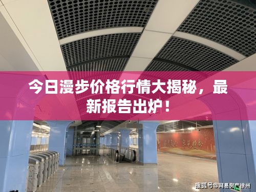 今日漫步价格行情大揭秘，最新报告出炉！