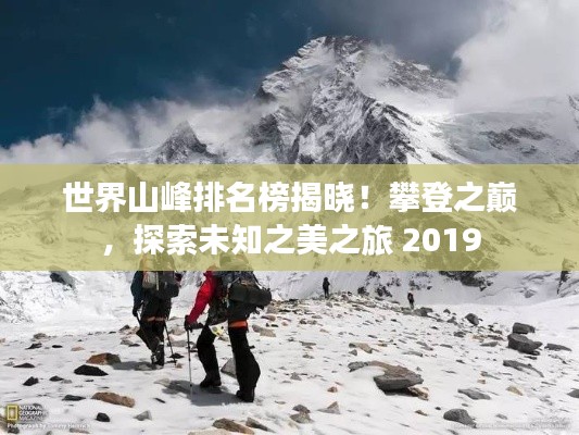 行业应用 第8页