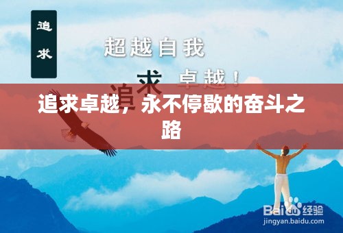 服务项目 第8页