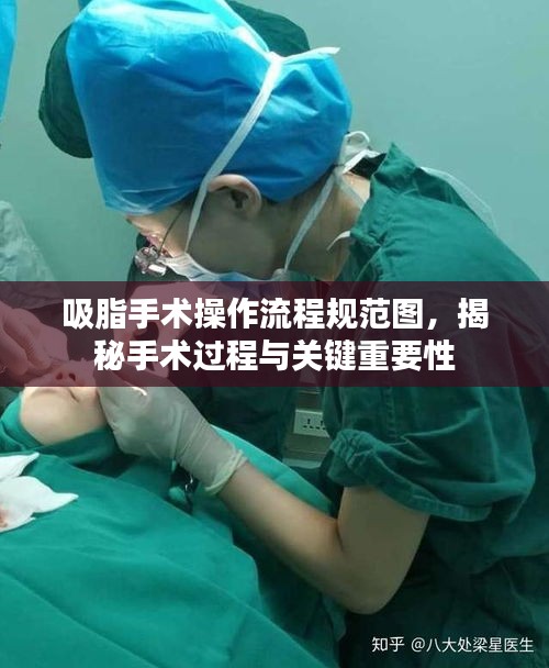 生张熟魏