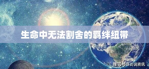 2025年5月15日 第3页