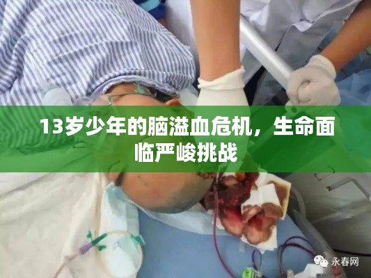 轻飞曼舞