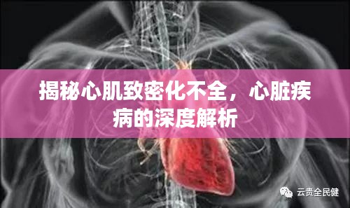 揭秘心肌致密化不全，心脏疾病的深度解析