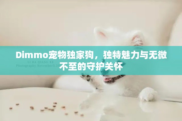 闻所未闻