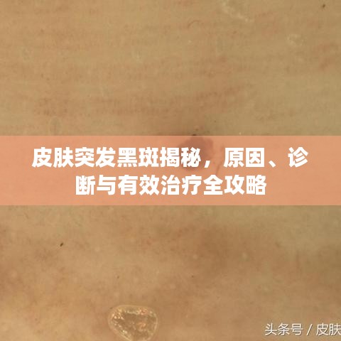 一心一意
