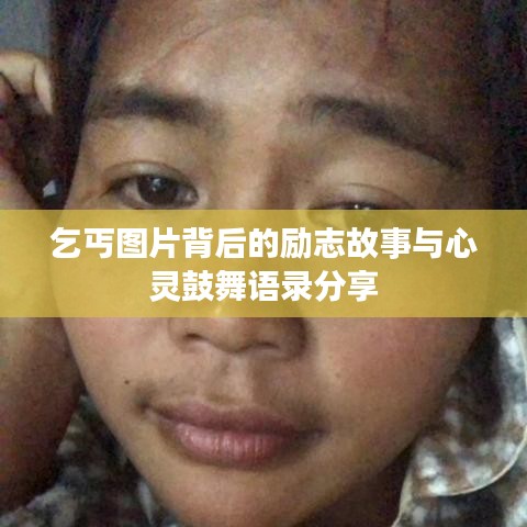 熊经鸟伸