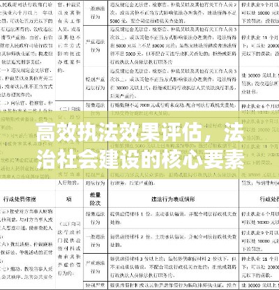 高效执法效果评估，法治社会建设的核心要素之一