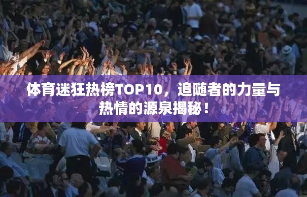 体育迷狂热榜TOP10，追随者的力量与热情的源泉揭秘！