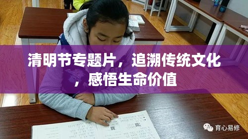 清明节专题片，追溯传统文化，感悟生命价值
