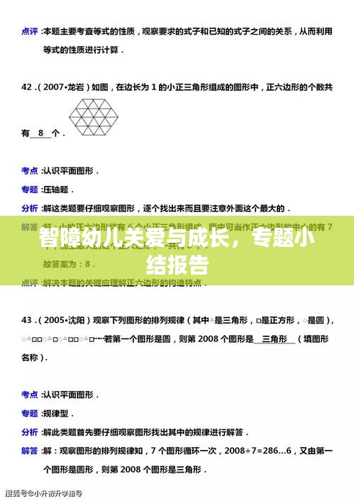 智障幼儿关爱与成长，专题小结报告