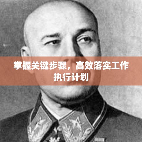 掌握关键步骤，高效落实工作执行计划