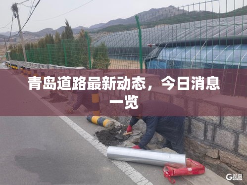青岛道路最新动态，今日消息一览