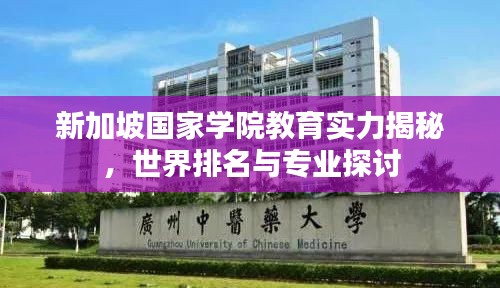 新加坡国家学院教育实力揭秘，世界排名与专业探讨