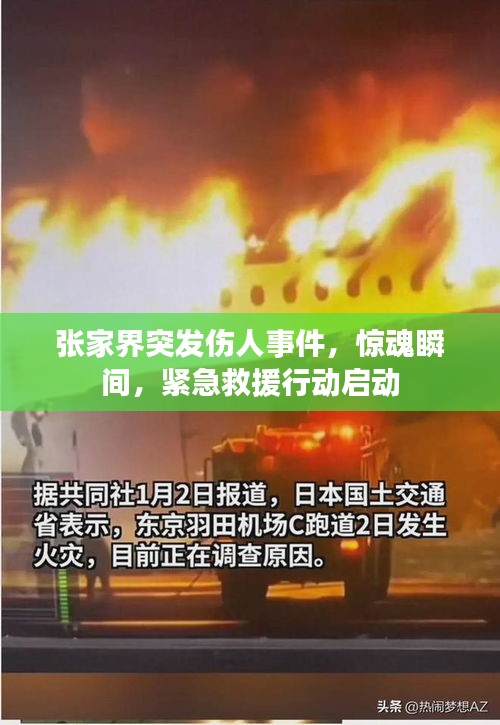 张家界突发伤人事件，惊魂瞬间，紧急救援行动启动