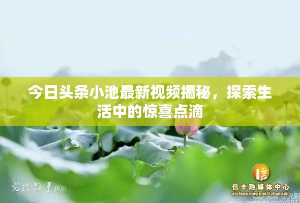 肝胆相照