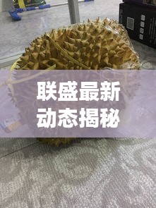 联盛最新动态揭秘，今日消息一网打尽