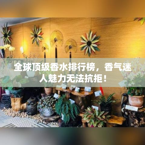全球顶级香水排行榜，香气迷人魅力无法抗拒！