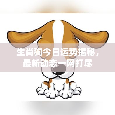 生肖狗今日运势揭秘，最新动态一网打尽