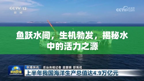 2025年6月3日 第5页