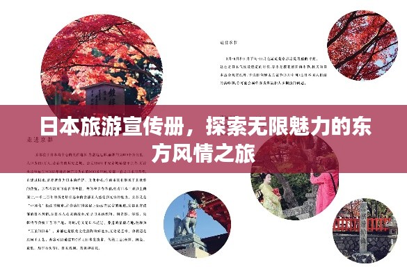 2025年6月3日 第2页