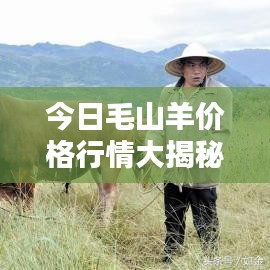 2025年6月3日