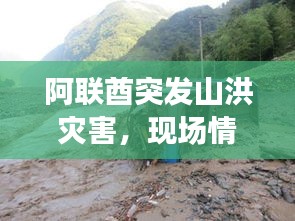 阿联酋突发山洪灾害，现场情况紧急！
