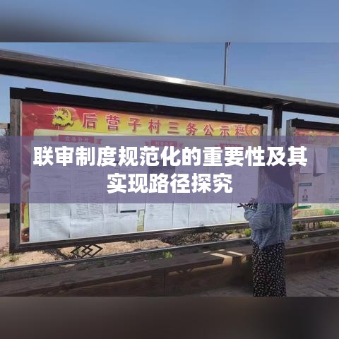 联审制度规范化的重要性及其实现路径探究