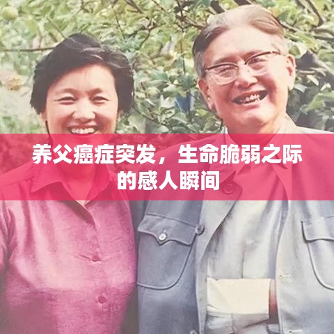 2025年6月6日 第3页