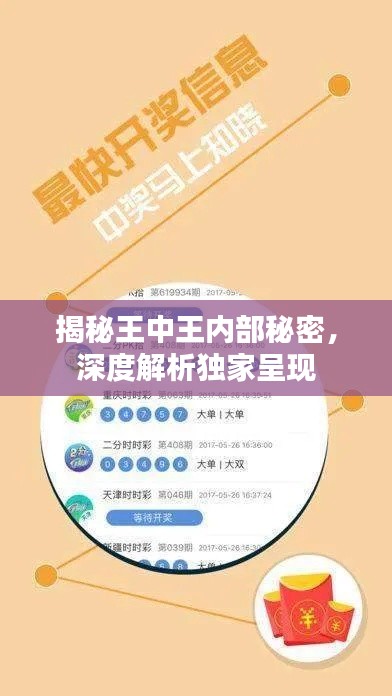 揭秘王中王内部秘密，深度解析独家呈现