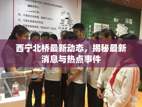 西宁北桥最新动态，揭秘最新消息与热点事件