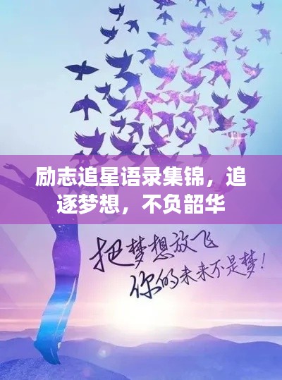 励志追星语录集锦，追逐梦想，不负韶华
