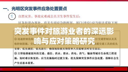 突发事件对旅游业者的深远影响与应对策略研究